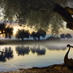 Book of Psalms: A Ministerial Summary 6 Ancient scroll of the Psalms representing biblical worship, prayer, and praise in Israel's hymnbook.